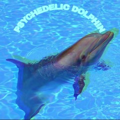 Psychedelic Dolphin