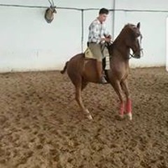 hugo