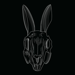 Wubbit