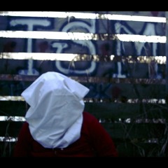 The Flock |TSMTF|