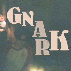 Gnark_