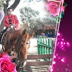 Hana Sayed