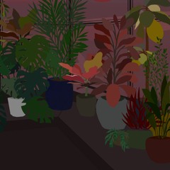 ｂｅｖｅｒｌｙ ｍｏｏｎ