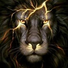 MIZZLE KING x YOUNG MELWEE