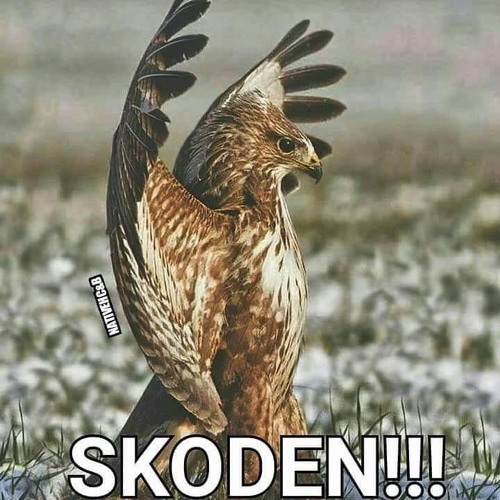 Apache Peyote Song. Morning Song.  at Lonesome Dove