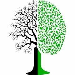 Центр саногенного мышления Украина