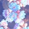 ✿Flower✿