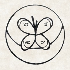 Tocked Moth Game Development