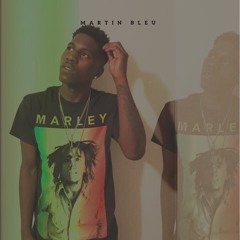 Martin Bleu