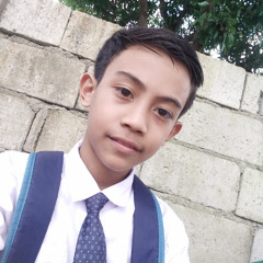 phnbugarin