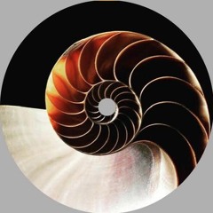 UCV_Universal Consequence music
