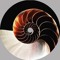 UCV_Universal Consequence music