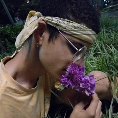 Matheus Brasil