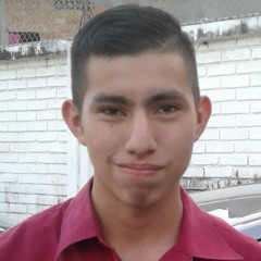 ronaldjahirariasvega