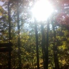 Munro Gauld  - Scottish Traditional Flute