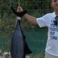 manoel.martto