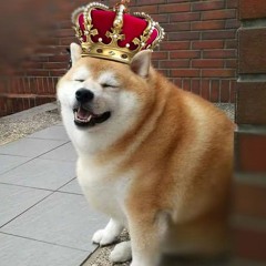 king doge