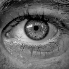 S H E F F I E L D E R