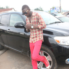 staralexo495