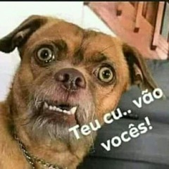 Paulo Henrique