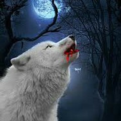 Wolfsblut