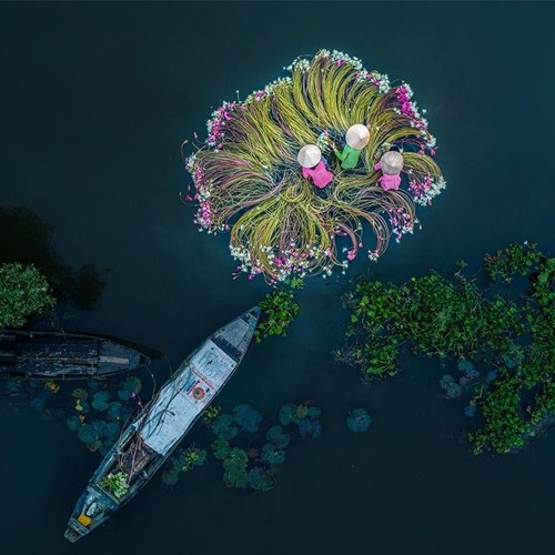 Nhạc không lời