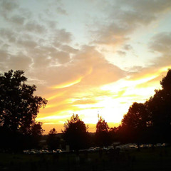 BRIAN B. pringlezman