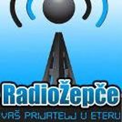 Stream Aldina Alić Glasnogovornica MUP - A ZDK by Radio Zepce | Listen  online for free on SoundCloud
