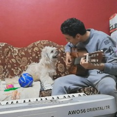 Ahmed Bahi