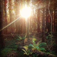 I Might Be Wrong - Cover - Radiohead