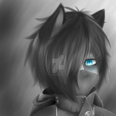 killer katt