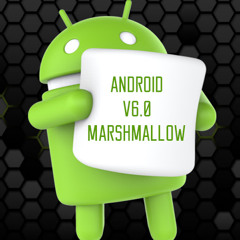 User 27221694