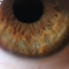 Imeon Adlaremse Zitro Narud