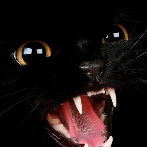 Tr/St Sulk remix