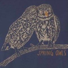 Spring Owls