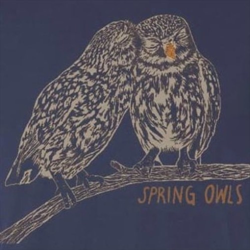 Spring Owls’s avatar