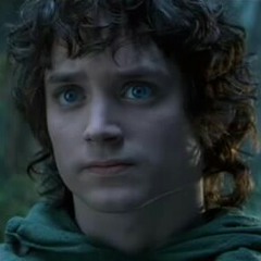 frodobagg