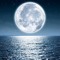 Moonlight