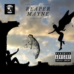 REAPER MAYNE