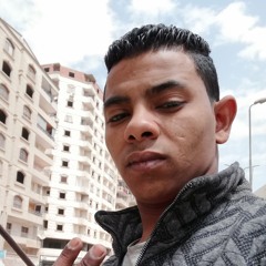 Alaa Mohamed