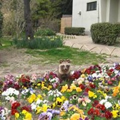 Ikegami Shuji