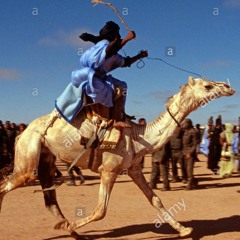 yallayeehaw