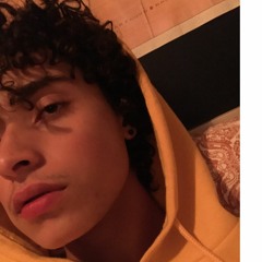 Fabricio G Santos