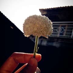 Stela___