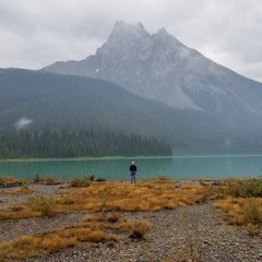 The Great Green Wild