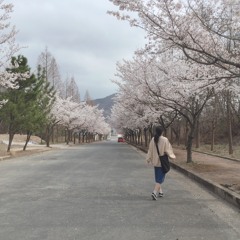 story jin