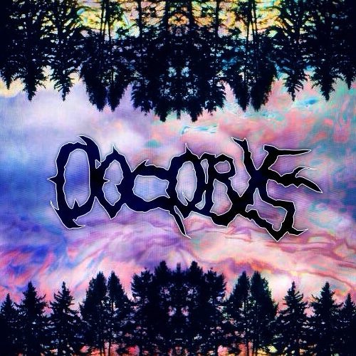 Oocorys’s avatar