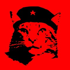 ThatRapCat