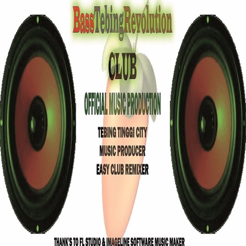 BassTebingRevolutionClub artist photo
