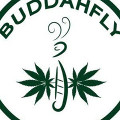 Buddahfly Music